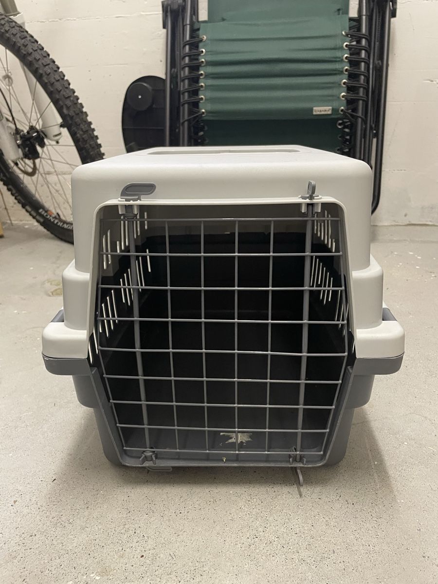 Gabbie, trasporto & Sicurezza: Katzentransportbox Grau/Weiss gebraucht – Usato da Frutigen venduto da Blue_020