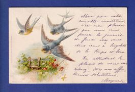 OISEAU - Hirondelles