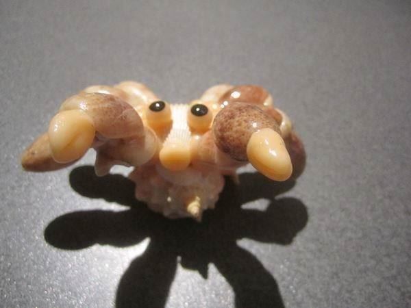 Statuette: Spinne aus Muscheln – Usato da Zürich venduto da abraxas1291 1