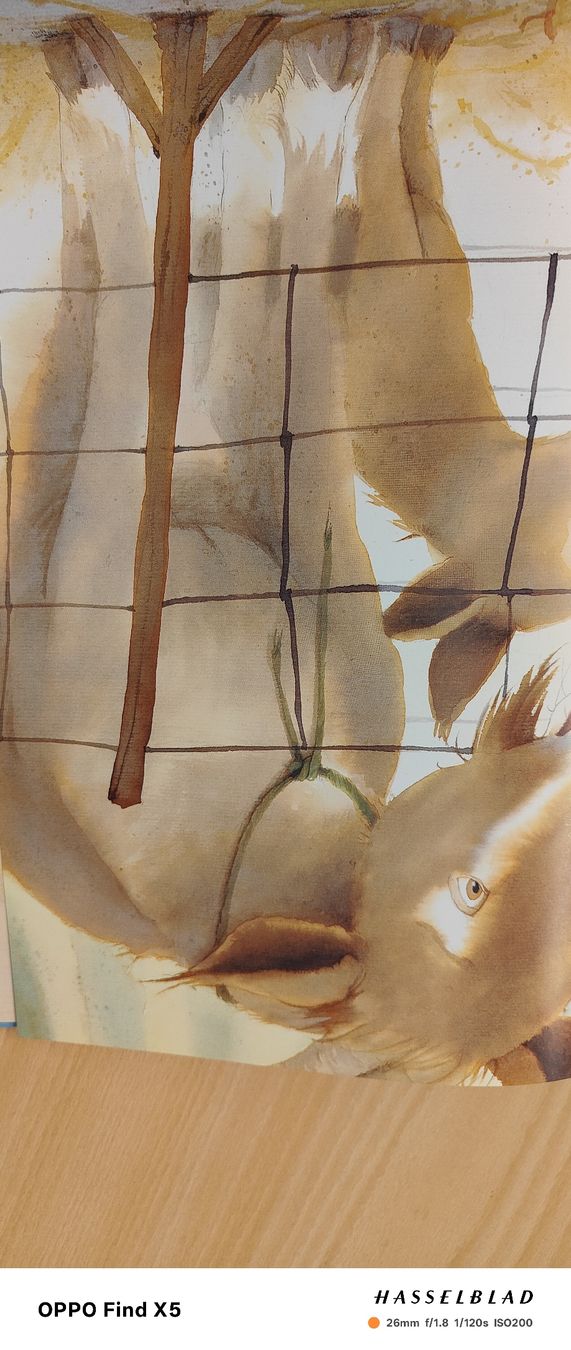 Libri: Mama, wo bist Du? – Nuovo (secondo la descrizione) da Volken venduto da katz5 3