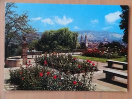 Winterthur - Blick vom Rosengarten - 1978