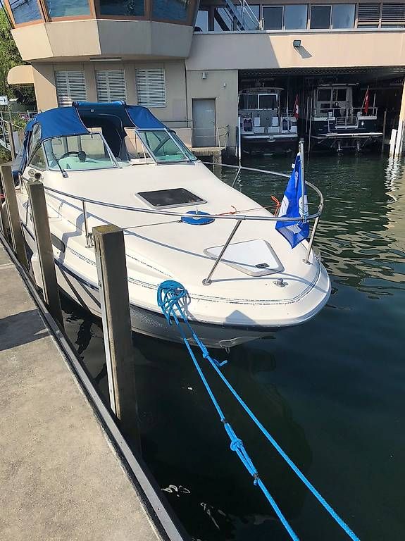 Barche: Sea Ray Sundancer 230 da – Usato da Kilchberg ZH venduto da Albis