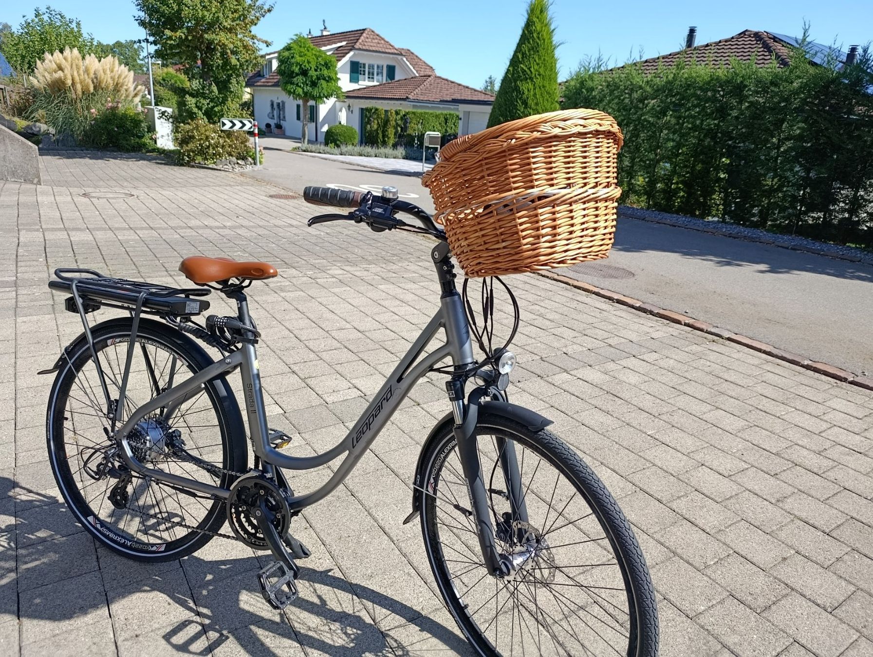 Leopard Biciclette: E-Bike Leopard mit Tiefeinstieg – Usato da Berg TG venduto da james-54 1