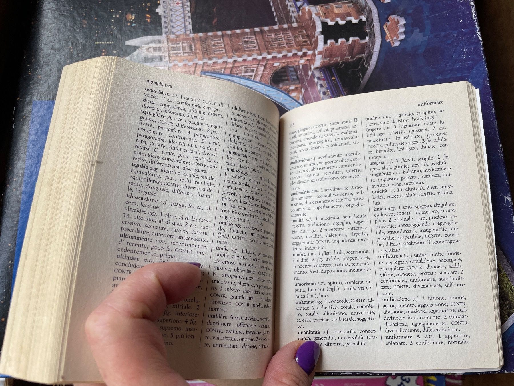 Libri: Dizionario Sinonimi e Contrari – Usato da Bergdietikon venduto da book-4-you 3