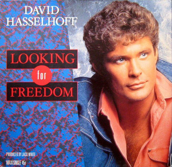 Dischi in vinile: Hasselhoff David - Looking for freedom   (Maxi-Single) – Usato da Romanshorn venduto da and_2nf7