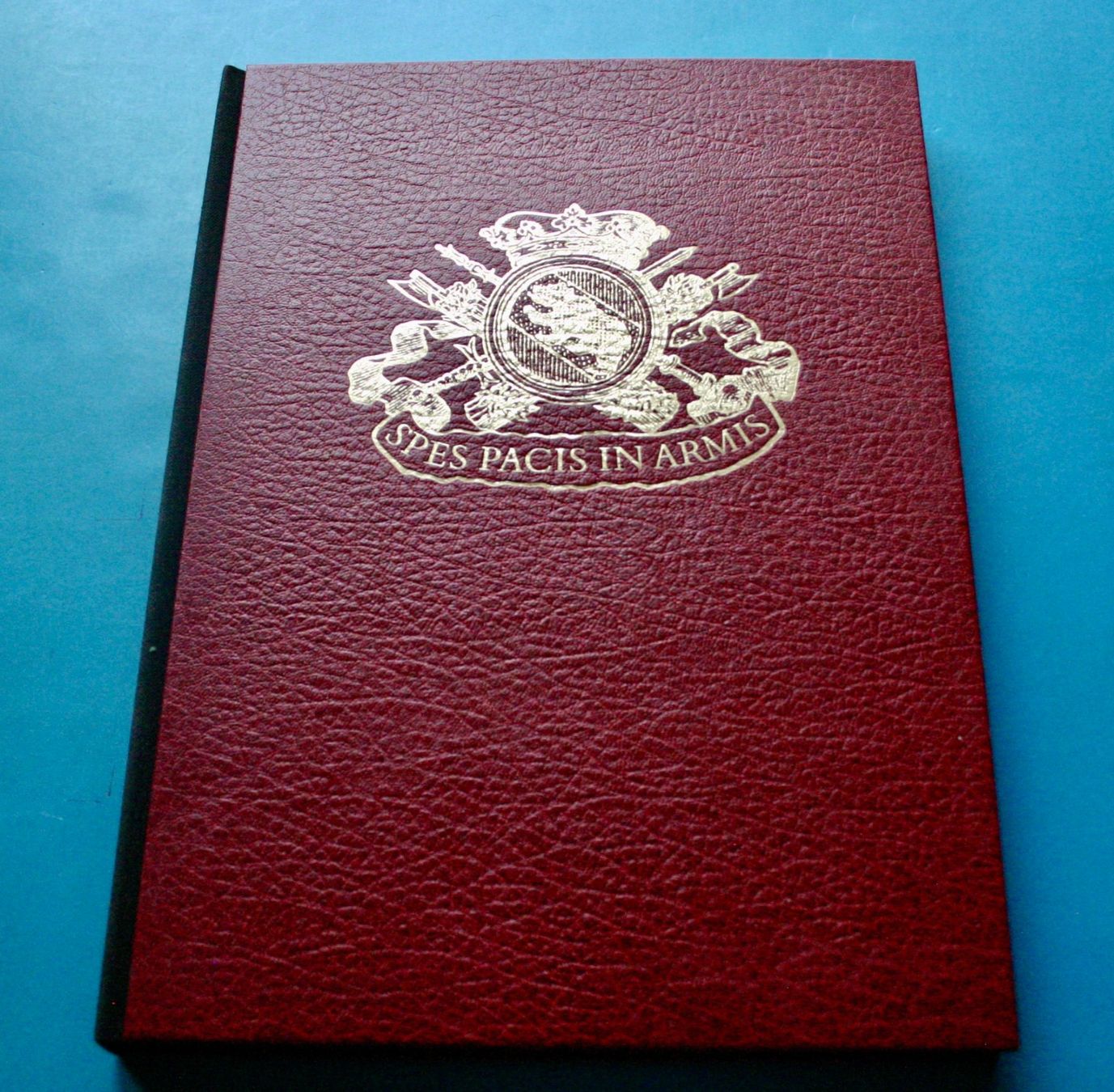Libri: BERNER UNIFORMEN  UNIFORMES BERNOIS – Usato da Winkel venduto da franzxaver60