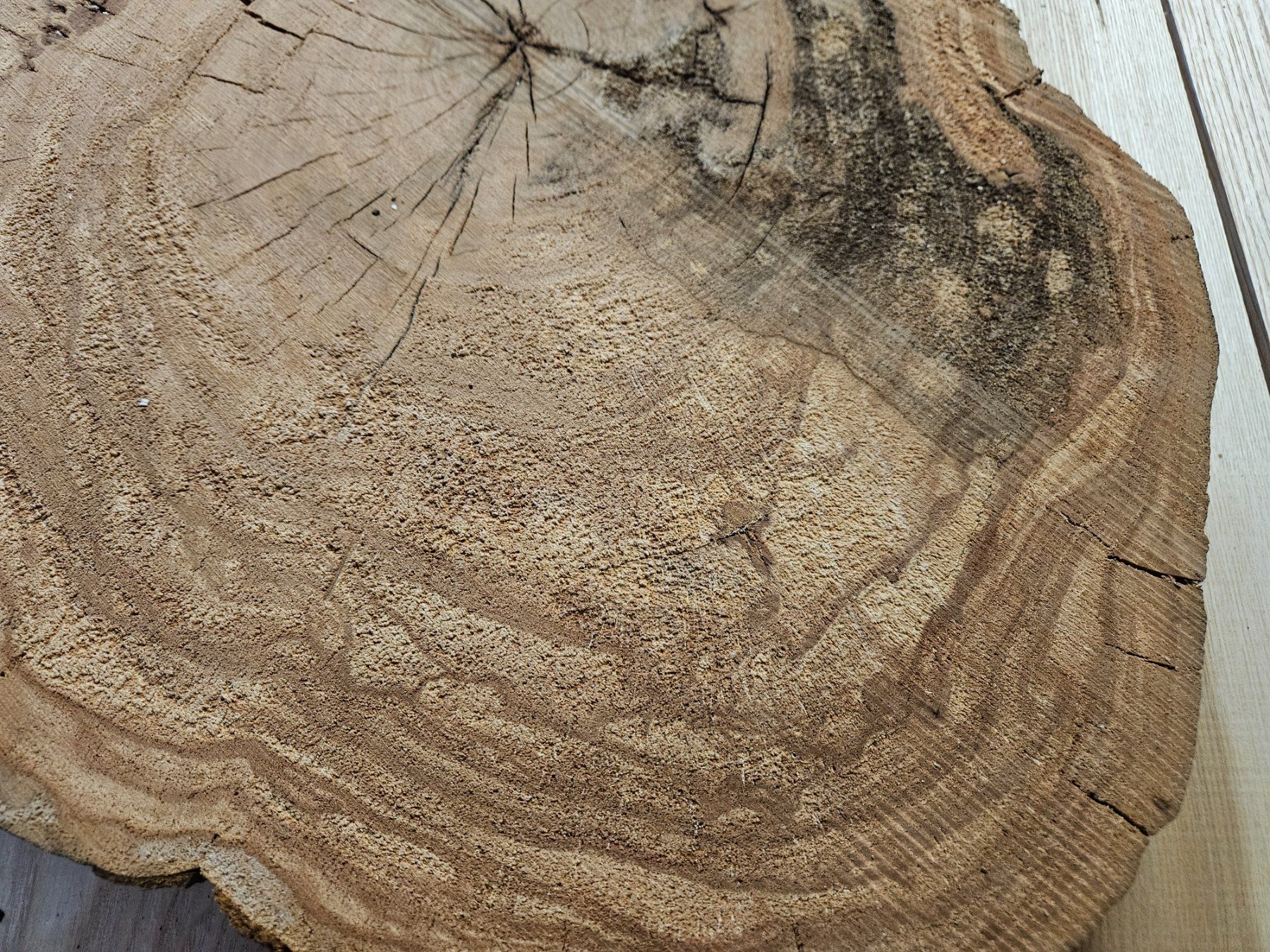 Holzartikel: Baumscheibe Kirschbaum Holz – Neu (gemäss Beschreibung) aus Schangnau von egli6.2 4