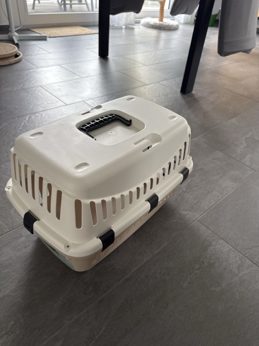 Gabbie, trasporto & Sicurezza: Transportbox weiss gebraucht – Nuovo (secondo la descrizione) da Lengnau BE venduto da skittles27 1