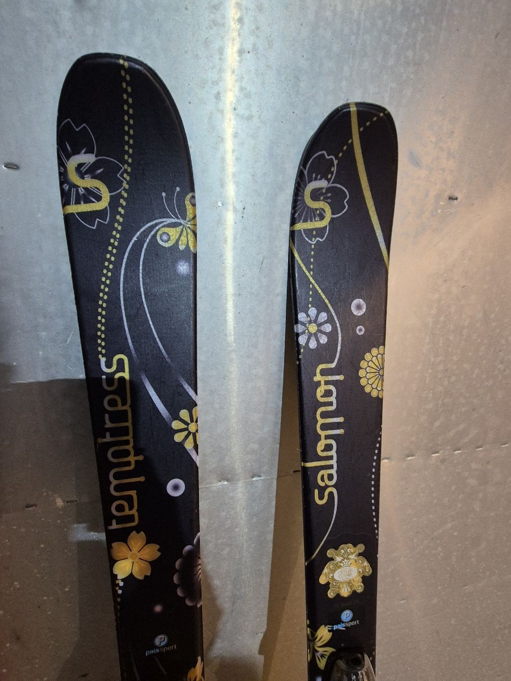 Salomon Skis: Ski – Gebraucht aus Winterthur von zursckat 1