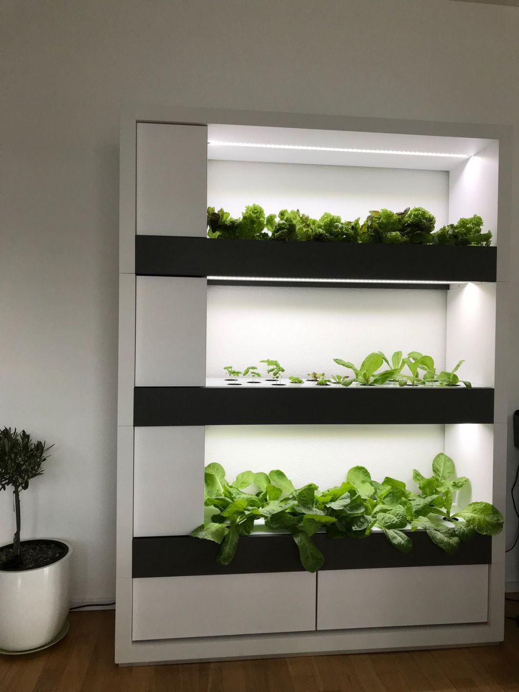 Altro: Hydroponik - Smart Indoor Farming System – Usato da Merenschwand venduto da palyaa