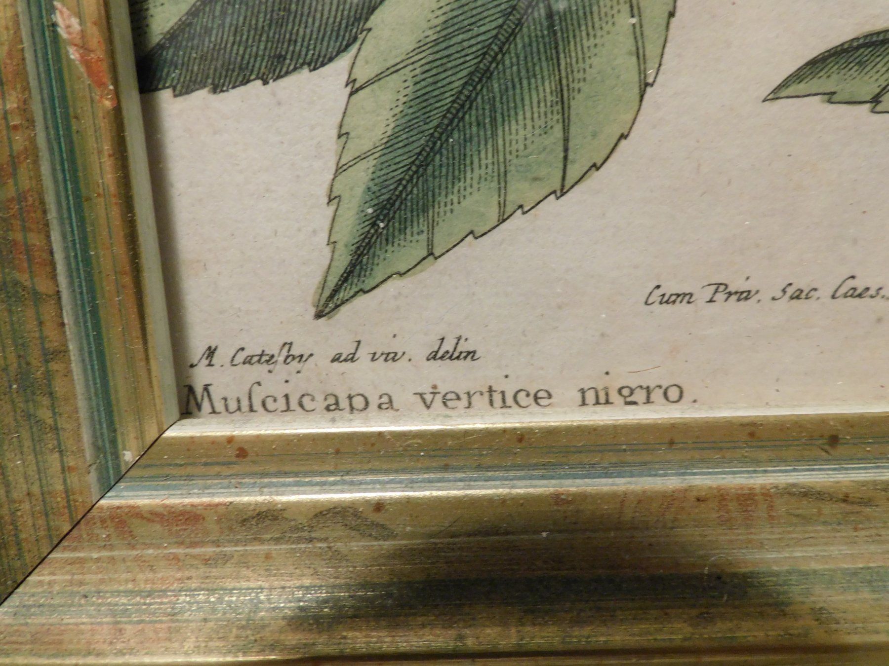Incisioni: Kunst Stich antiker handcolorierter Stich – Usato da Sursee venduto da 76 4