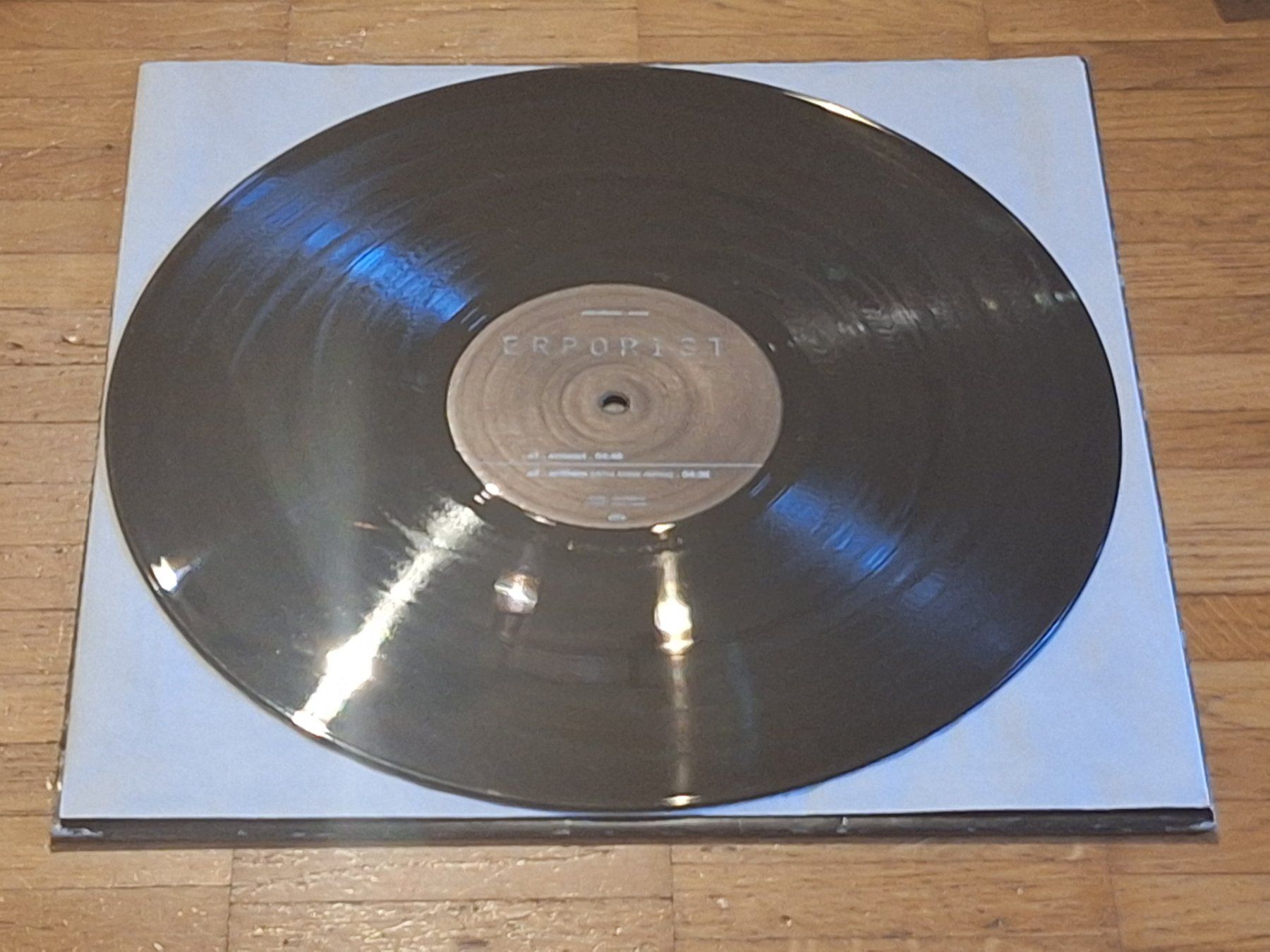 Vinyles: Artist Unknown, Errorist - 12" Maxi DE 2002 – Neuf (Voir description) à Oberentfelden par Musicud 2