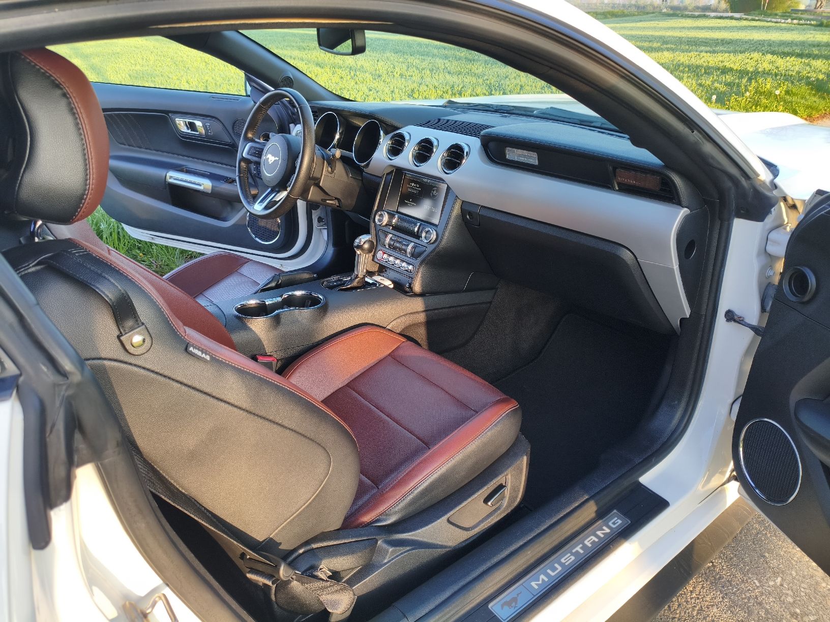 Ford Automobili: Ford Mustang Fastback – Usato da Dompierre FR venduto da F.Blanco 8