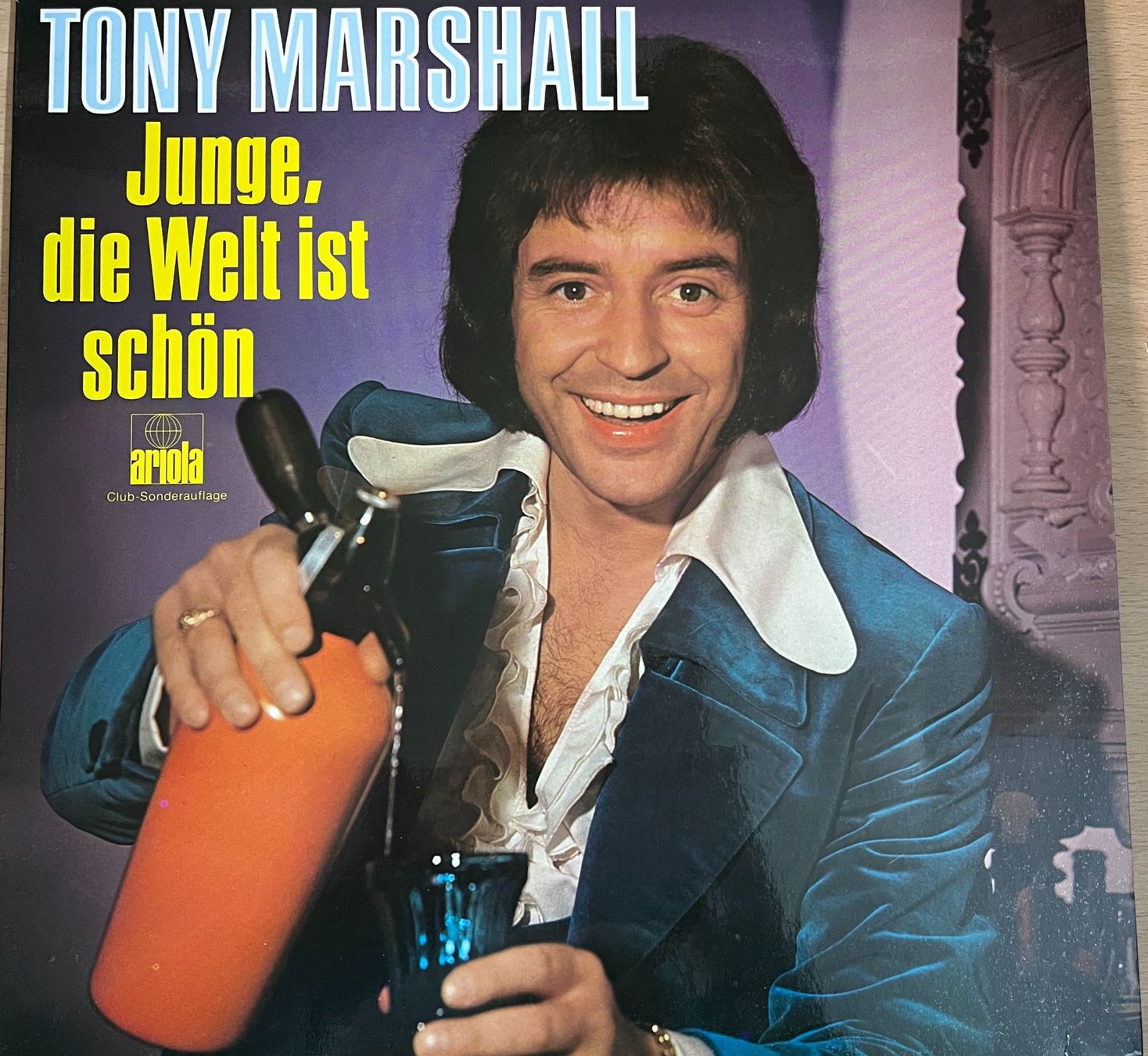 Dischi in vinile: LP Sammlung – Usato da Thunstetten venduto da Gehon 2
