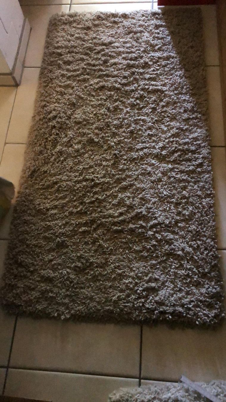 Tappeti: Teppich Langflor Beige – Usato da Rieden AG venduto da willy52