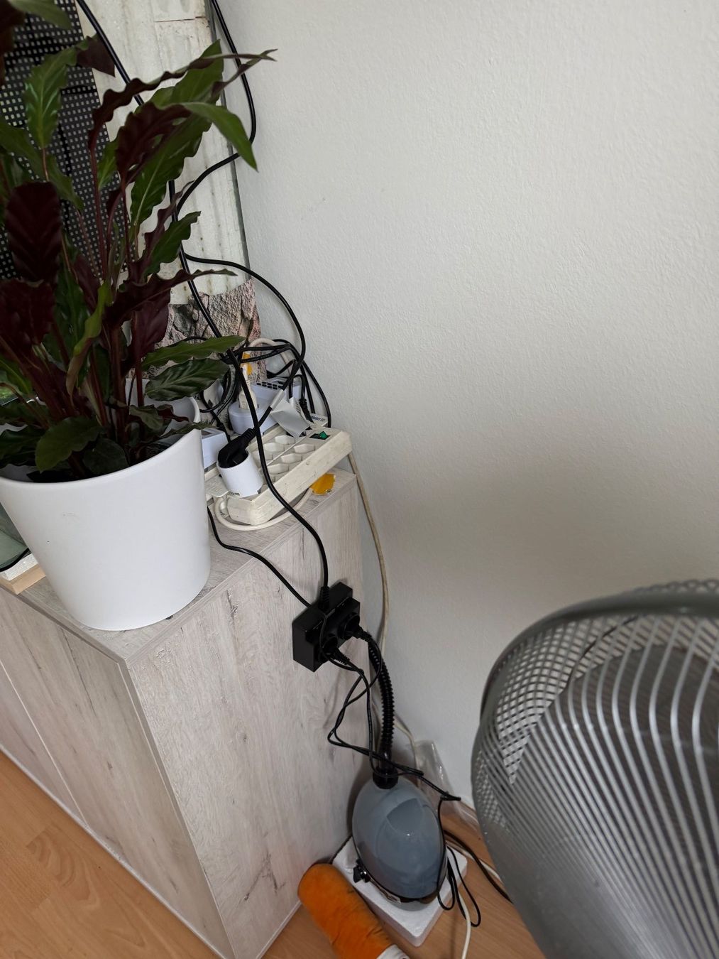 Terrarium: Terrarium mit Wasserfall Komplettset – Gebraucht aus Rothrist von egg_9wck 5