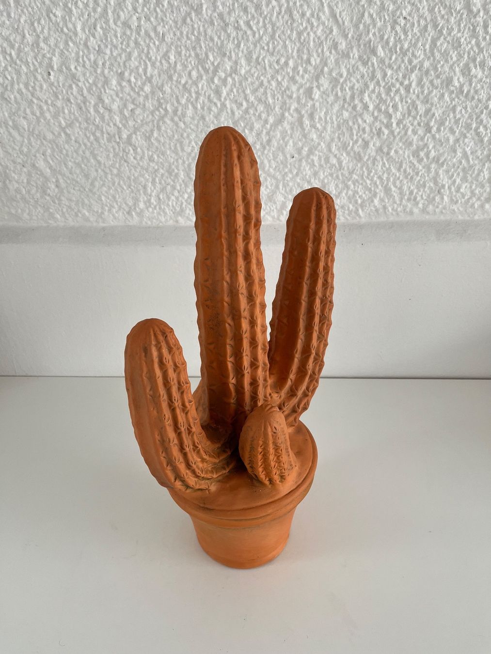 Tutte le decorazioni: Kaktus aus Terracotta – Usato da Wetzikon ZH venduto da seli03 6