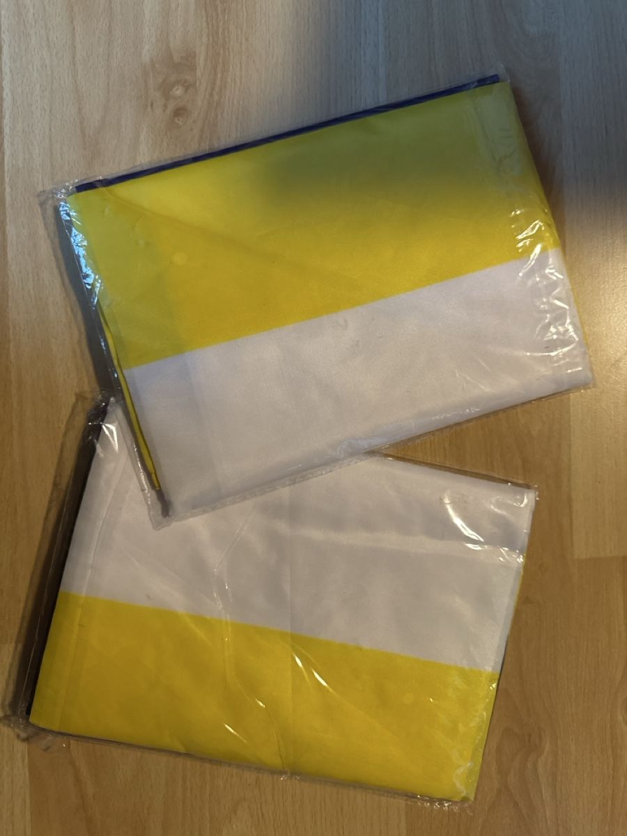Bandiere: Non-Binary Pride Flagge, Neu & Originalverpackt (2x) – Nuovo e nell'imballaggio originale da Bazenheid venduto da jol_hzq6 1
