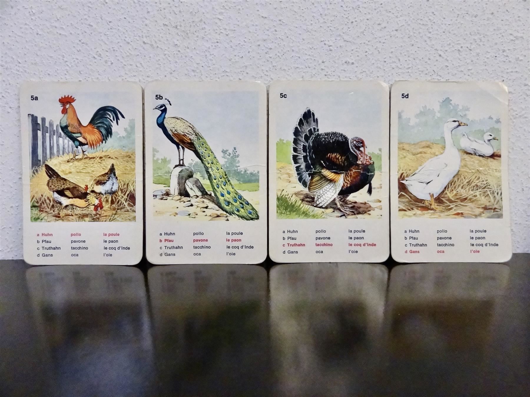 Ravensburger Spiele: schönes altes Quartett TIERWELT – Gebraucht aus Kerzers von wisaundso 7