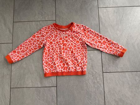 Pullover - Grösse 110/116 - WE