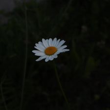 Profile image of law_vv6x