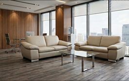 Exklusives 2er-Ledersofa-Set in Beige für Büro und Zuhause