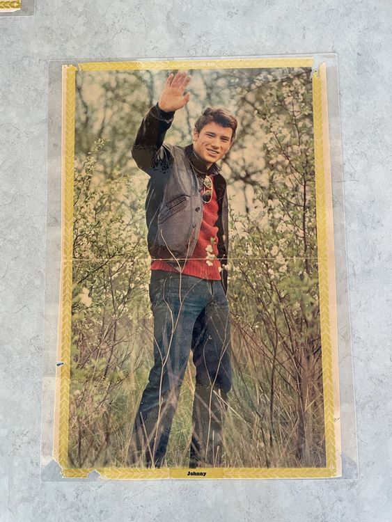 Plaque funéraire Johnny Hallyday Réf: 377
