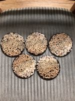 5 Untersetzer für Trinkgläser mit Muscheln