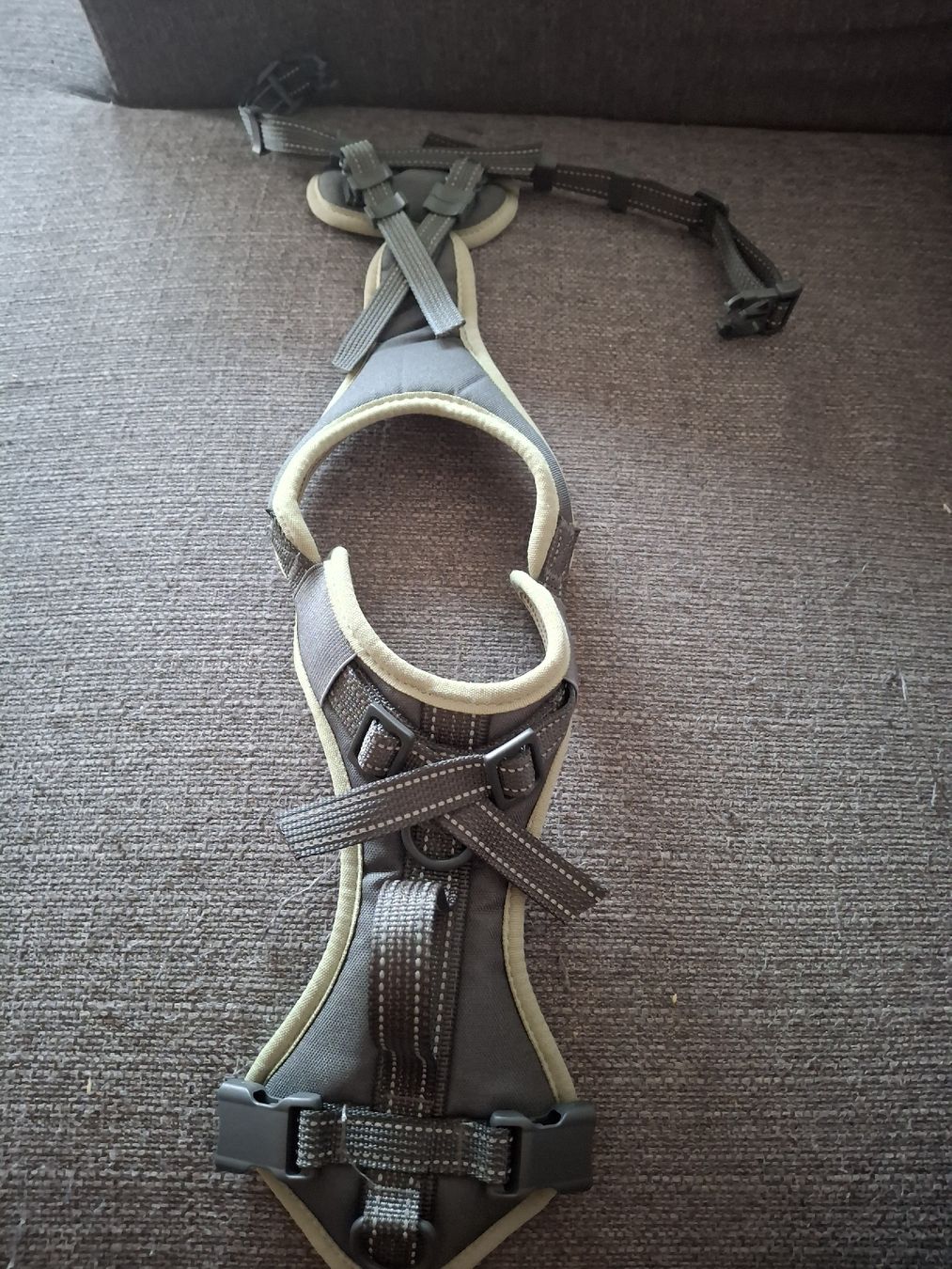 Collier et laisse: Hundegeschirr Romeo Grösse S – Neuf (Voir description) à Langenthal par Coopkiste 2