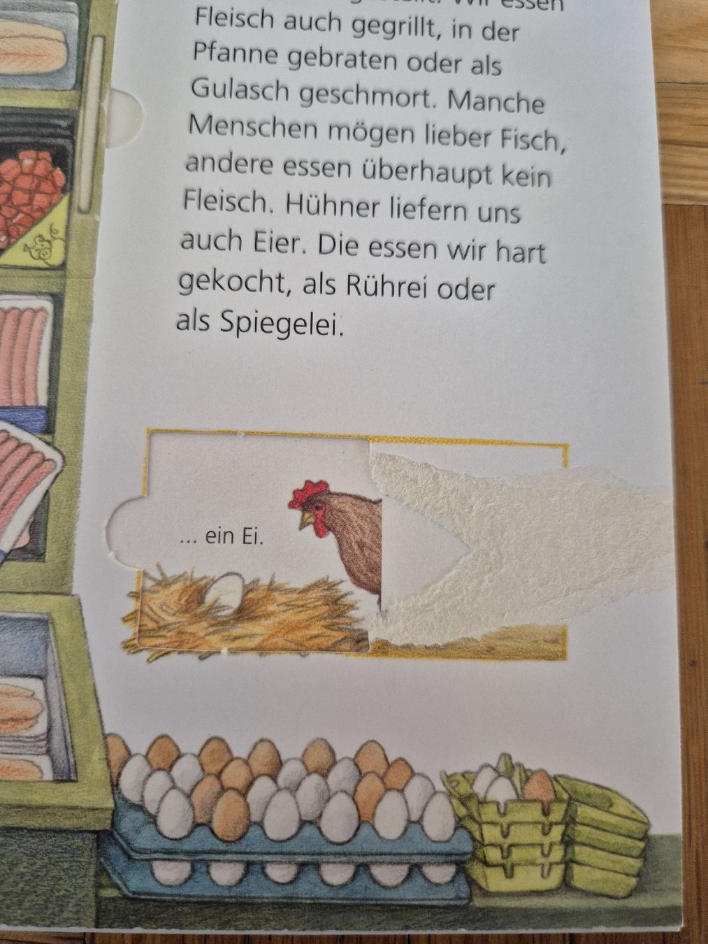 Libri: 3 Bücher Wieso, Weshalb, Warum – Usato da Kappel SO venduto da tiger1921 6