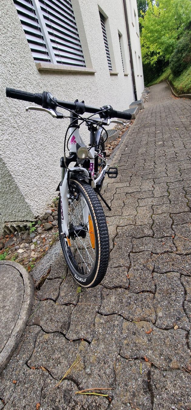 Bulls Biciclette: Bulls Velo 20 Zoll Mädchen – Usato da St. Gallen venduto da mah_c2qp 2
