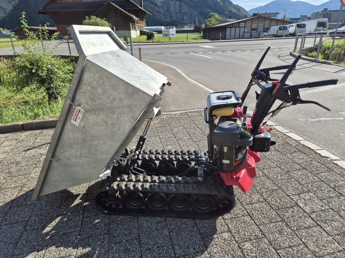 Honda Alle Maschinen: Raupentransporter – Gebraucht aus Stans von winternight 2