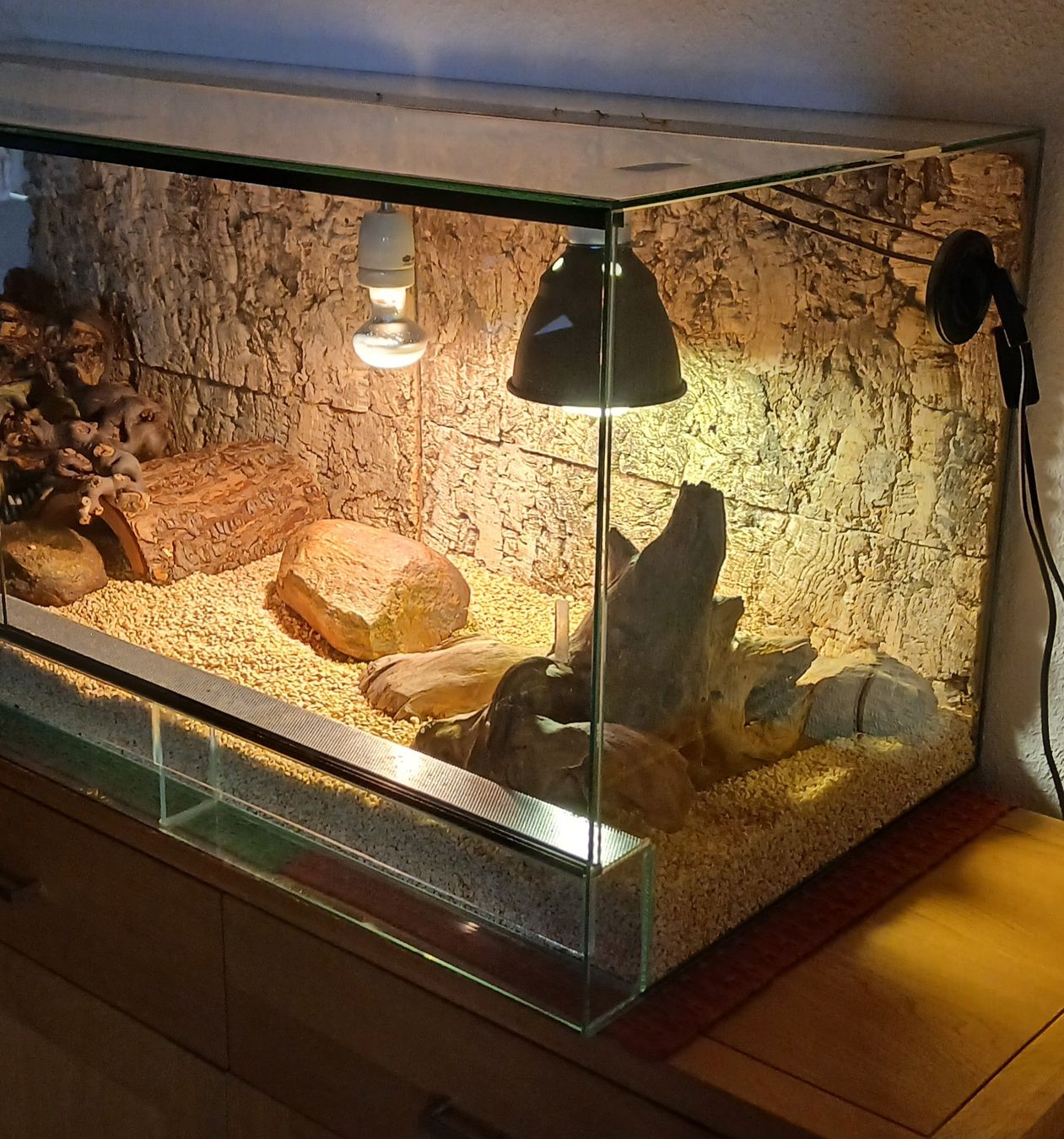 Terrario: Terrarium complet avec accessoires pour reptiles – Usato da Le Sentier venduto da Funko-Pop-1979 2