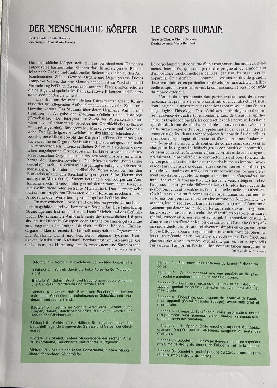 Libri: Transvision Bildtafeln Der Menschliche Körper – Usato da Böckten venduto da Hansi36 1