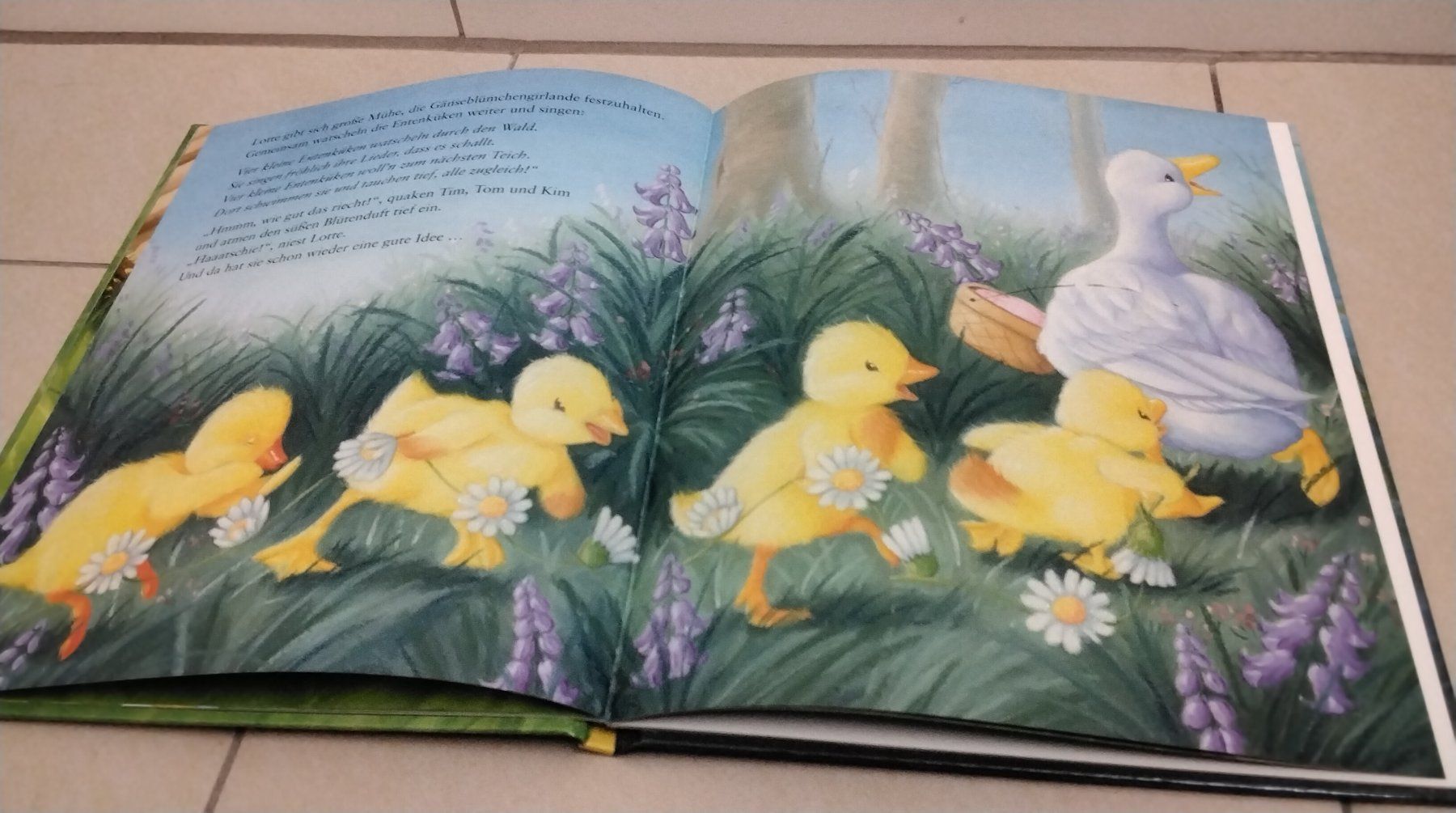 Libri: Lotta und die Gänseblümchen – Usato da Steinhausen venduto da pinu09