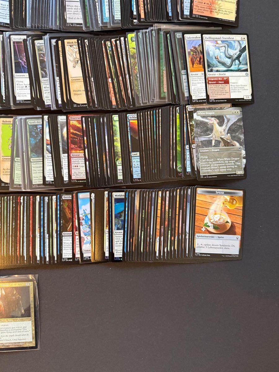 Magic The Gathering Cartes à collectionner: Mtg Spielkarten – D'occasion à Bern par NJKXRUN 1