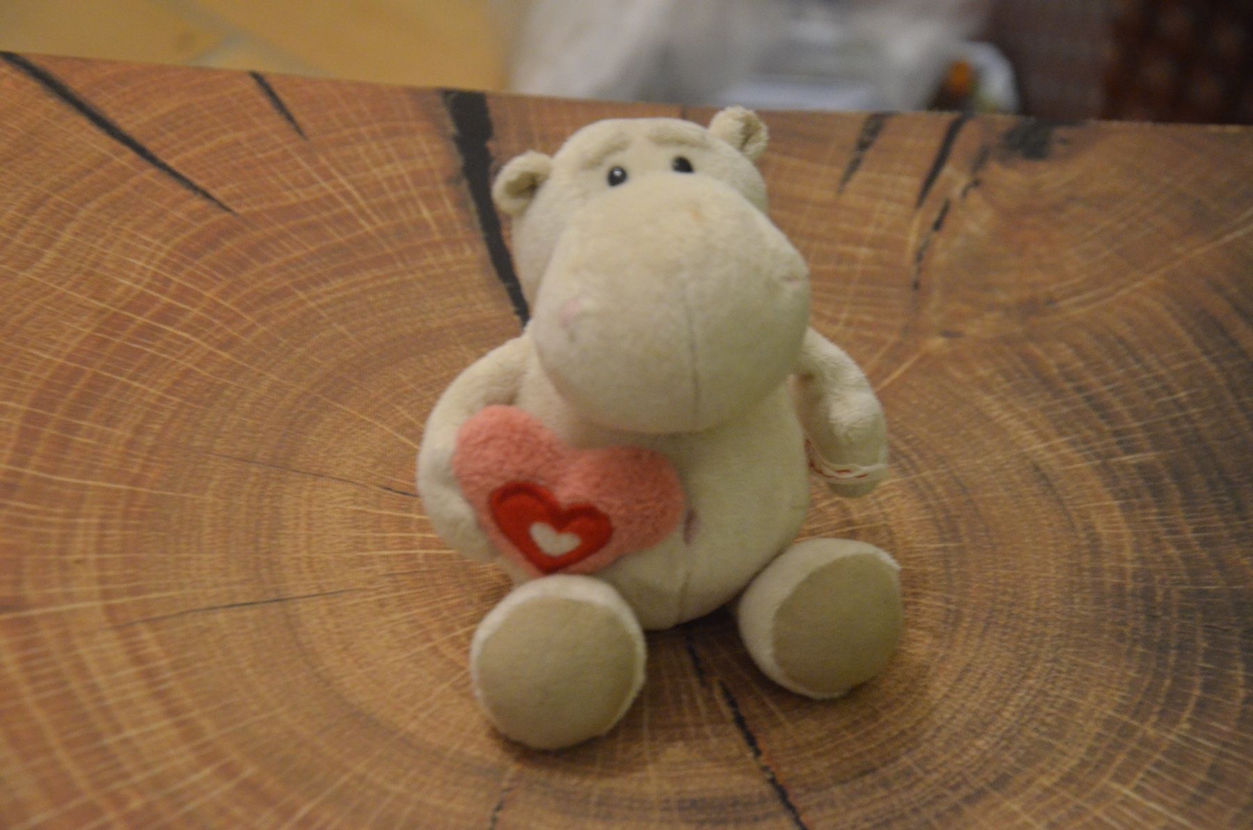 Nici Jouets: NICI - CM 15 – D'occasion à Chiasso par Dolly015