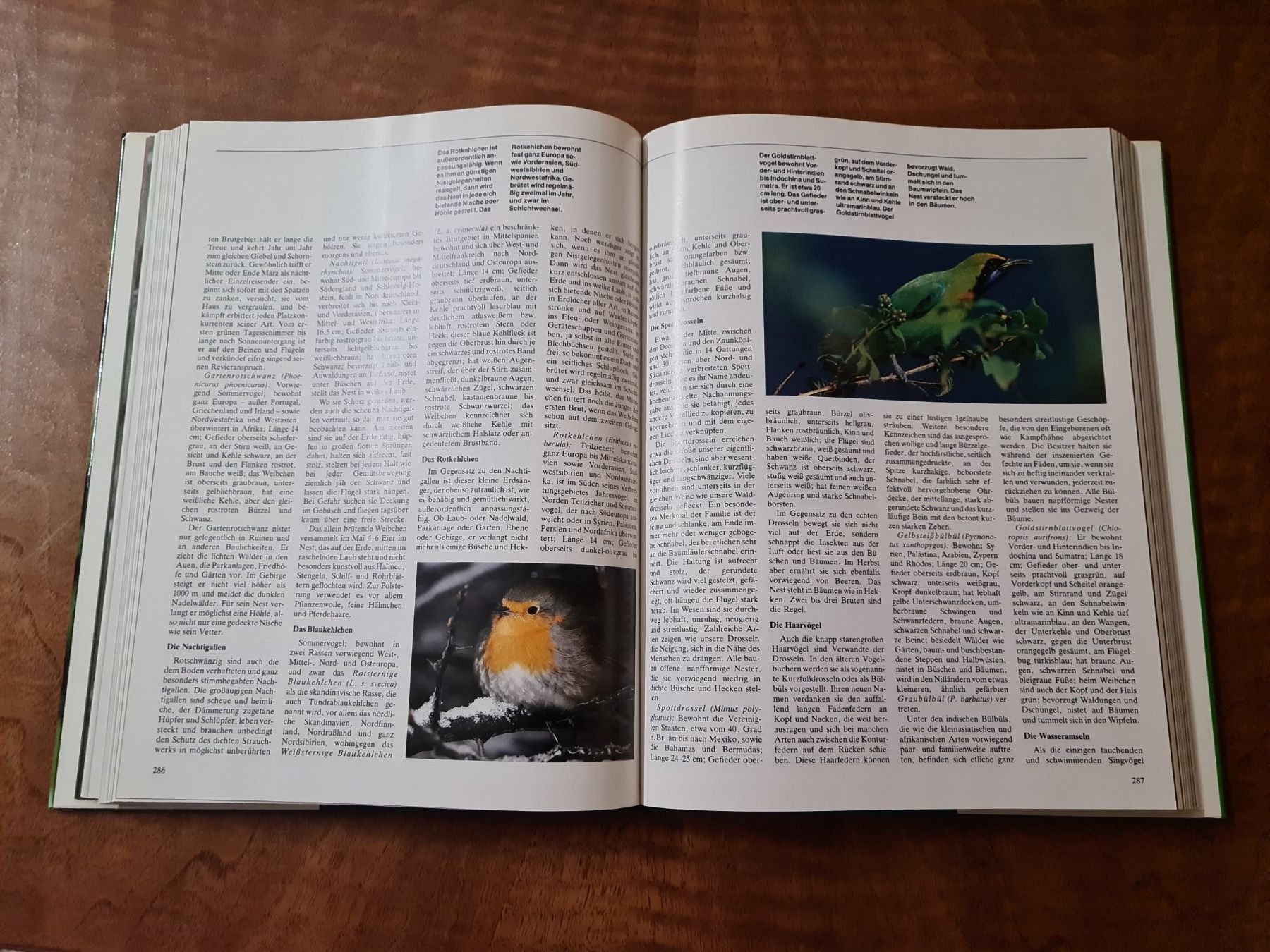 Libri: Weltreich der Tiere – Usato da Erstfeld venduto da Uhu1980 3