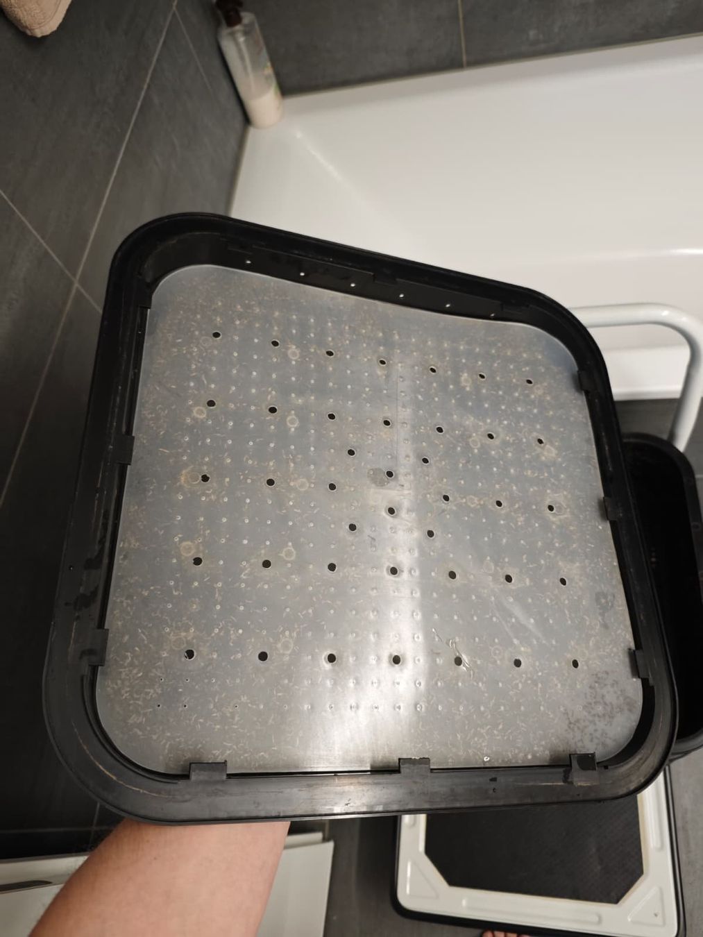Coffres de rangement: Red wiggler worms + VEVOR 5-Tray Worm Composter tower – D'occasion à Dübendorf par Olenaaa 8