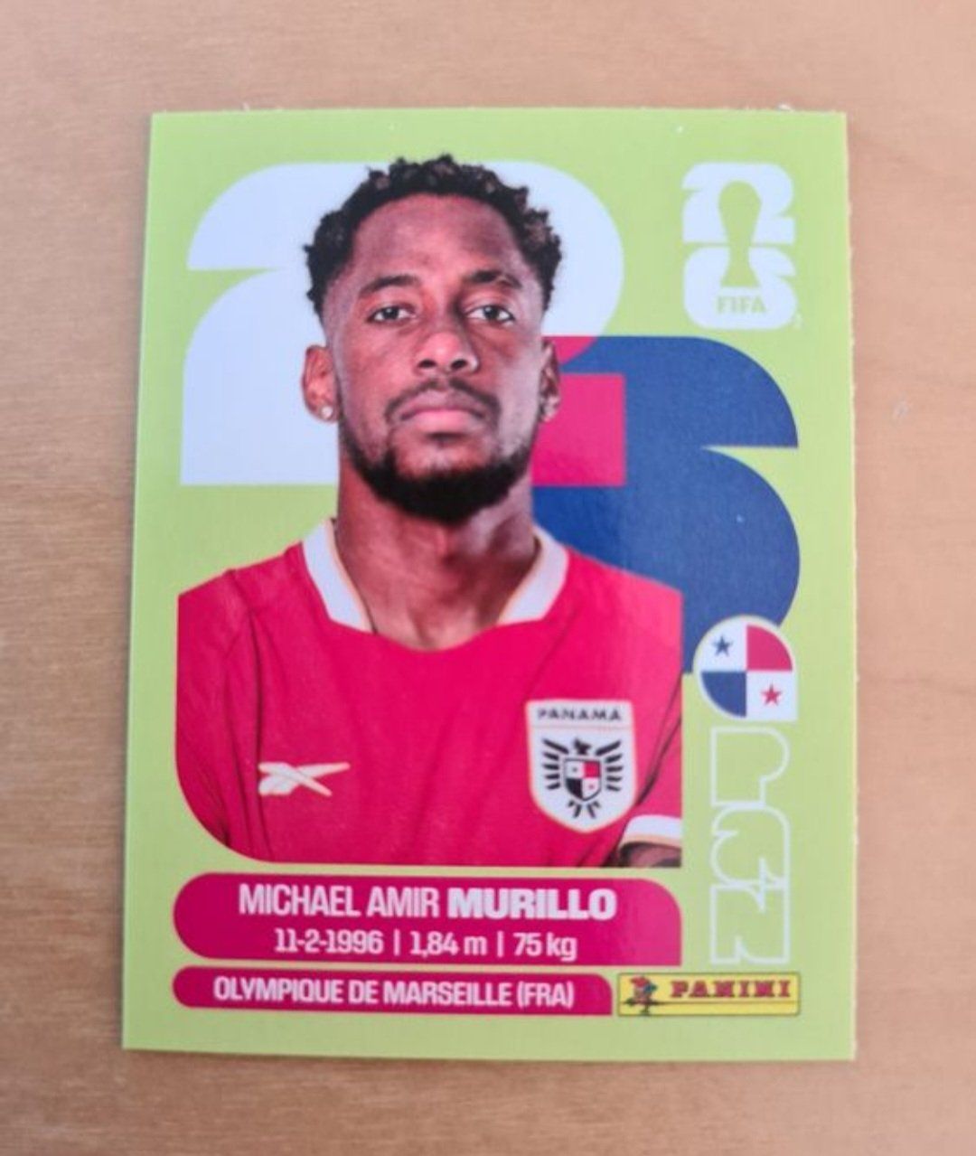 Panini Sammelbilder & Trading cards: Panini Sticker PAN6 – Neu (gemäss Beschreibung) aus Stüsslingen von white_angel86