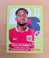 Panini Sticker PAN6
