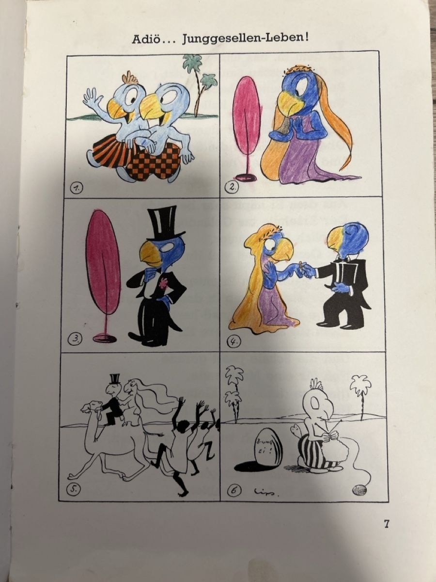 Libri: Globi junior – Usato da Maienfeld venduto da Jasmin_laeser 4