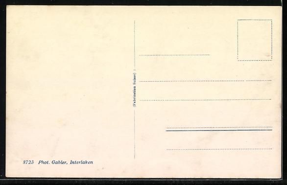Cartoline postali: AK Grindelwald, Männlichen, Gasthaus – Usato da Berlin venduto da bartko-reher 1