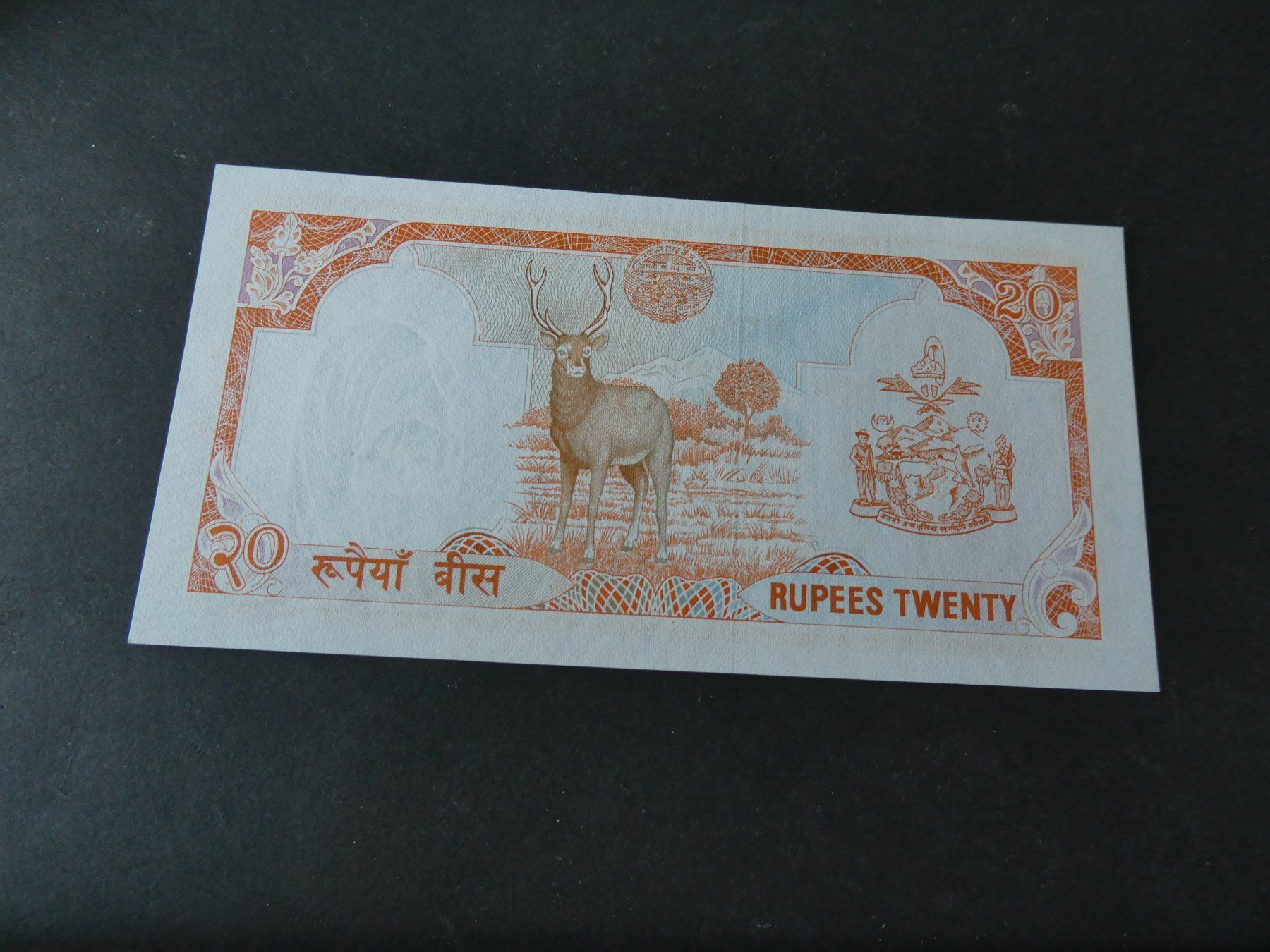 Banknoten: Nepal, alter Geldschein - ungefaltet – Gebraucht aus Hinterforst von Rohusri 1