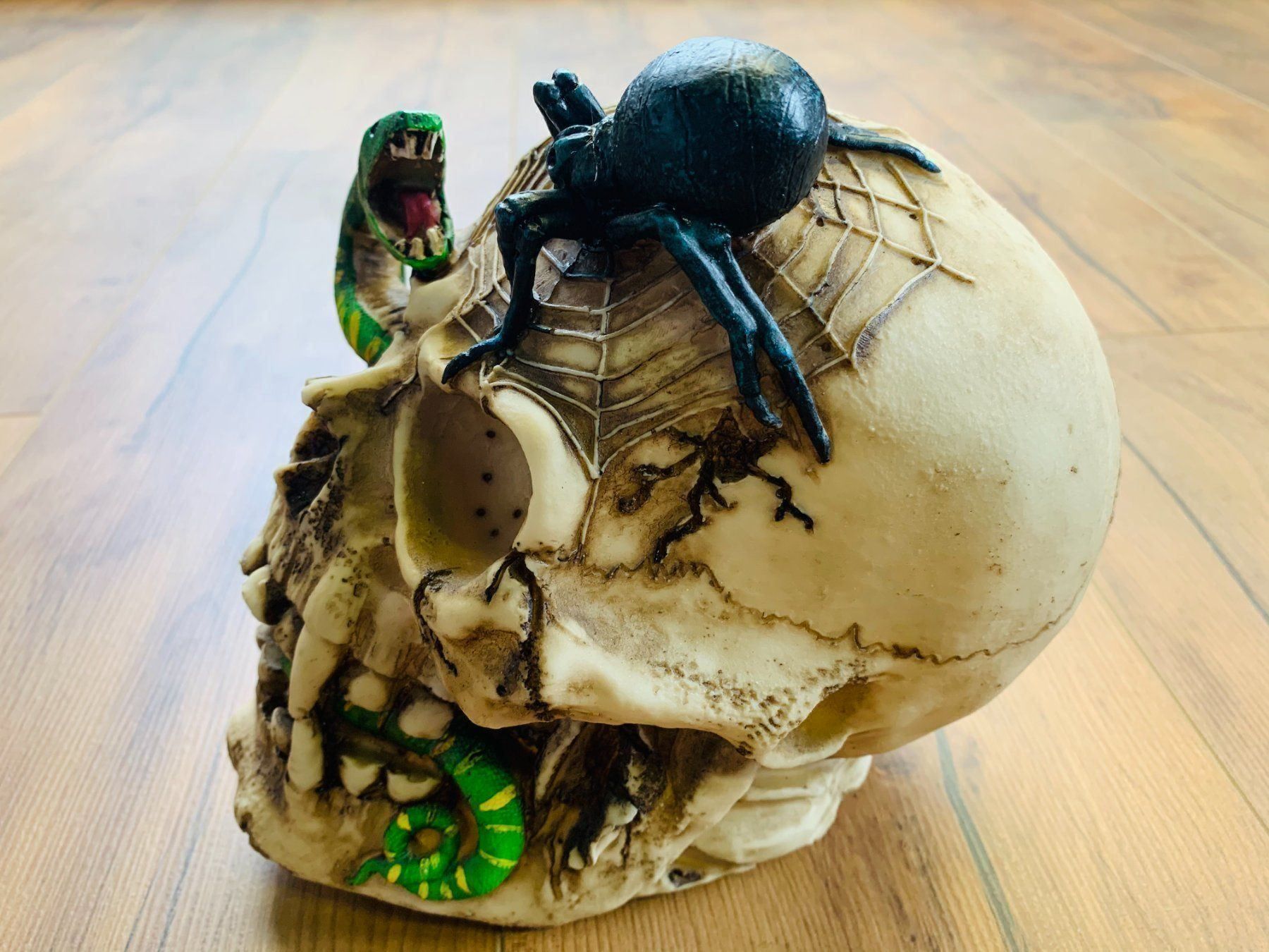Sculture & Statue: Totenschädel Schädel SKULL Spinne 22cm NEU – Nuovo e nell'imballaggio originale da Bergdietikon venduto da shopAgent 5