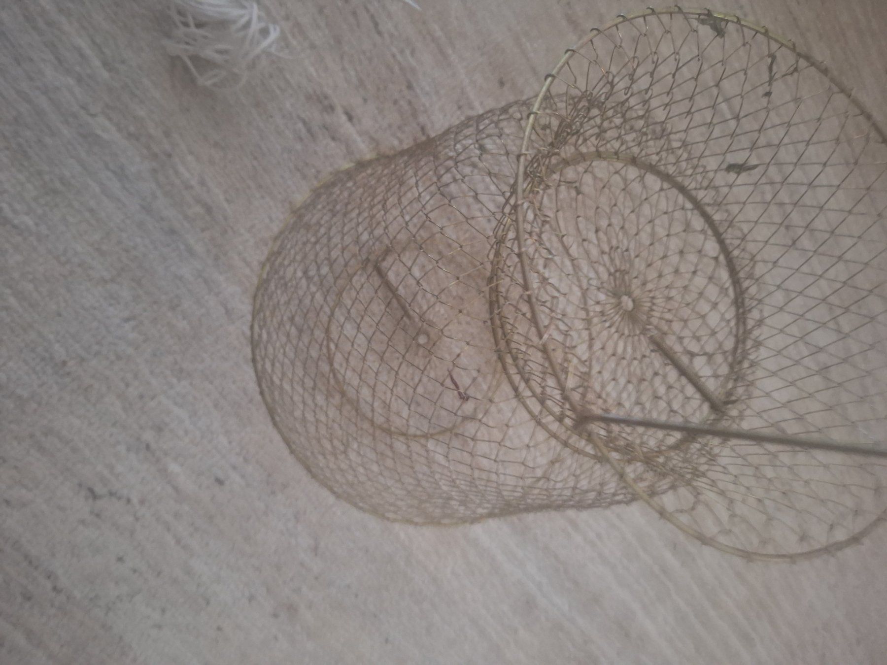 Cannes à pêche: Fischreuse – D'occasion à Volketswil par sandyandi 1