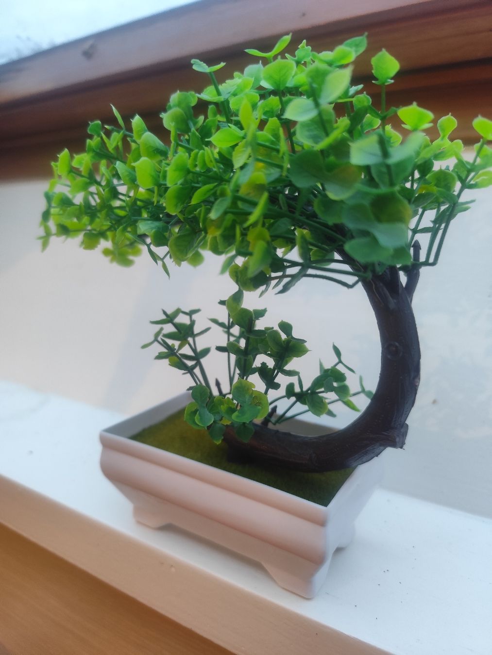 Tutte le decorazioni: Deko Bonsai ca 20cm hoch – Nuovo (secondo la descrizione) da Magden venduto da Fimo29 2