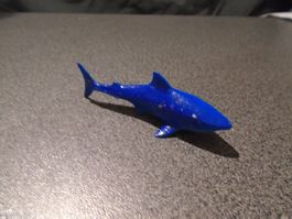 Haifisch, blau