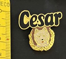 Cesar mit West-Highland-White-Terrier / Pin