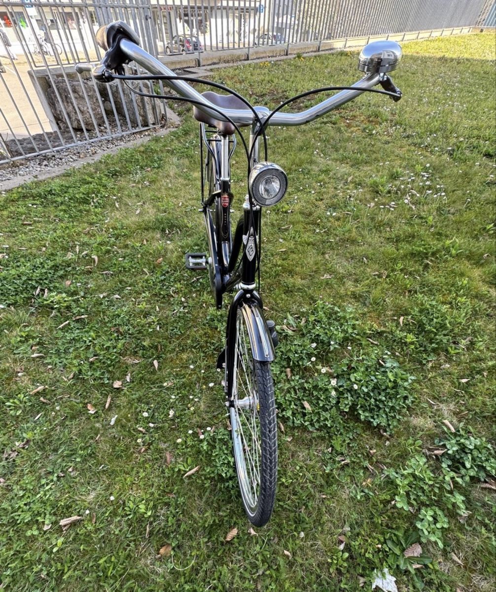 Biciclette: Electra royal Amsterdam, Hollandvelo – Usato da Fällanden venduto da Caramel7 6